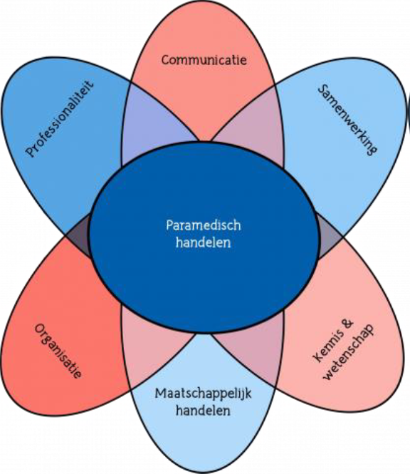 Afbeelding competenties.png